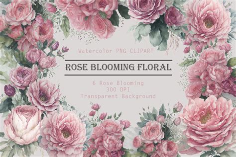 Rose Blooming Floral Watercolor Clip Art Graphic By Catmama Creative