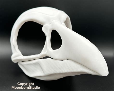 Raven Bird Skull Corvus Bone Skull Mask Movable Moving Hinge Jaw 3d