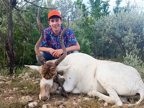 Addax Hunting 60 Species Available For Hunt Ox Ranch