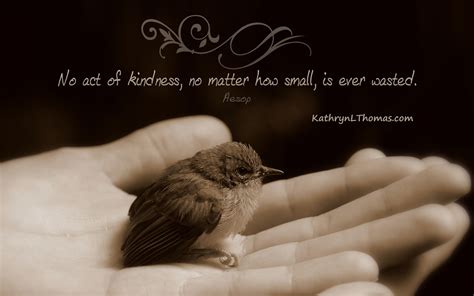 Quotes About Human Kindness Quotesgram