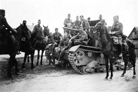 Germanys World War 2 Horses I Learned Only Very Recently That By