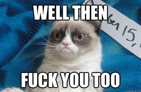 WELL THEN FUCK YOU TOO Fiscal Cliff Grumpy Cat Quickmeme