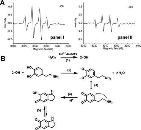 Aptamer Functionalized Ce Ion Modified C Dots Peroxidase Mimicking