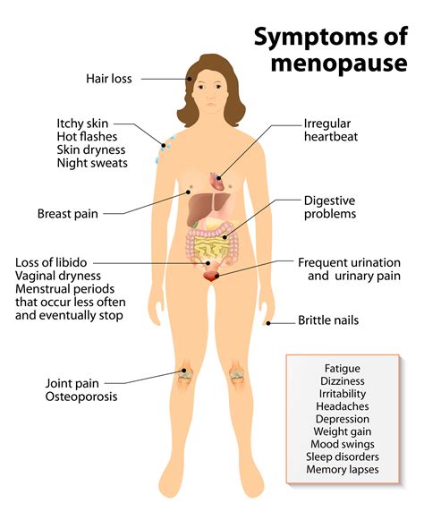 Symptoms Of Menopause Hot Flashes And Night Sweats How Long Will They