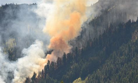 Forest Fires And Their Management Ias Exam