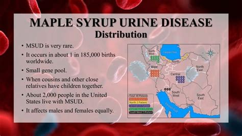 Maple Syrup Urine Disease Ppt