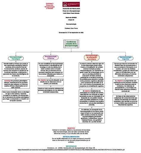 Áreas De La Neuropsicología RetroalimentaciÓn Se Me Facilitó