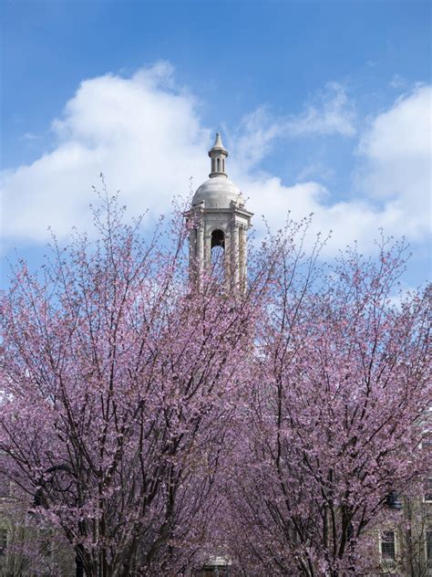 Penn State University Park Pa