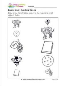 Big and Small Worksheets - Matching Objects | A Wellspring