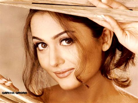 Amrita Arora Hot Amrita Arora HD Pictures Hot Bollywood Actress Quiharsodic