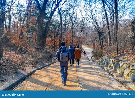 Secret Garden at Changdeokgung Palace Editorial Photo - Image of fall ...