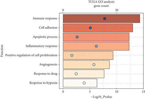 A And C Gene Ontology Analysis Of Aebp In Tcga Dataset B And D