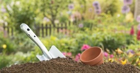 Lapport En Azote Dans Un Sol De Jardin