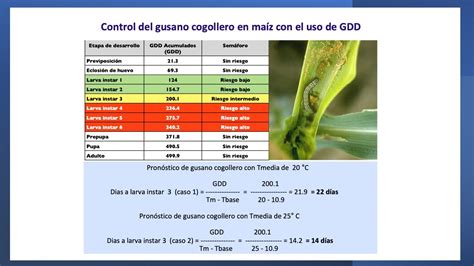 Importancia de la temperatura en la agricultura de precisión climaproagro