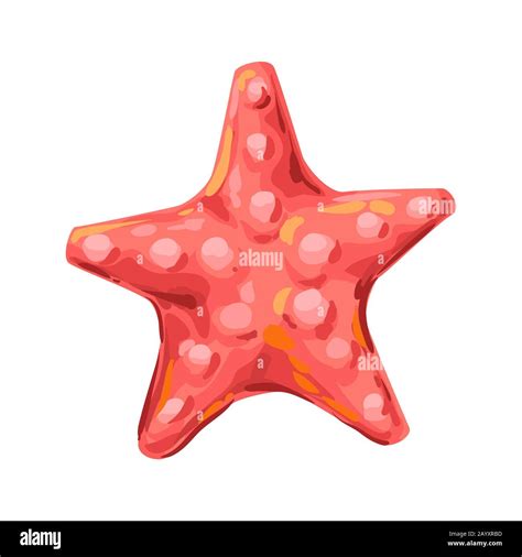 Illustration Of Starfish Tropical Underwater Sea Animal Stock Vector