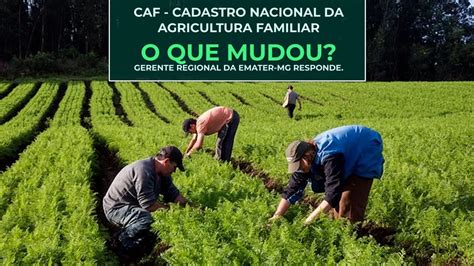 Cadastro Nacional da Agricultura Familiar CAF é novo documento de