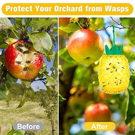 Wasp Trap Outdoor Hanging Wasp Bee Traps Repellent Outdoor Wasp