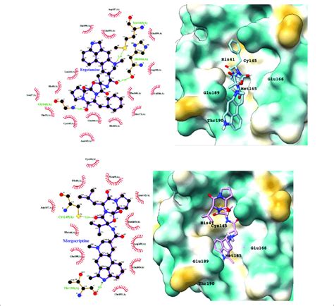 Ligplot Left And Hydrophobic Protein Surface Representation Right