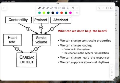 CV Clin Pharm Lecture Exam 2 Flashcards Quizlet