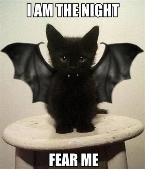 I Am The Nightfear Me Pictures Photos And Images For Facebook