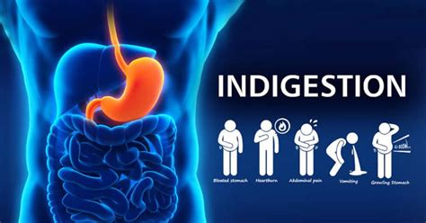 Indigesti N Causas S Ntomas Y Tratamiento Mala Digesti N