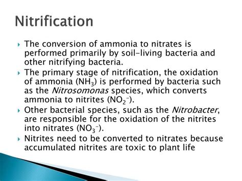 PPT Nitrogen Cycle PowerPoint Presentation ID 2002080