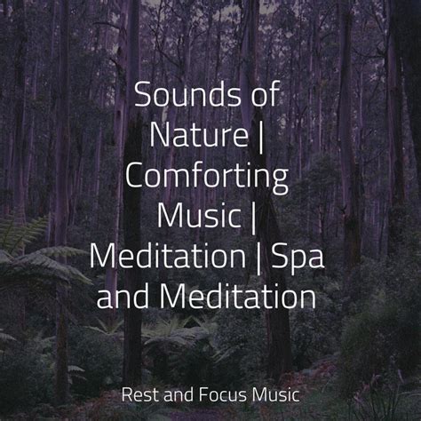 Sounds Of Nature Comforting Music Meditation Spa And Meditation