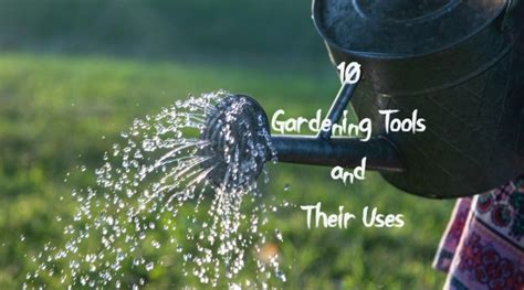 10 Gardening Tools And Their Uses The KauSee