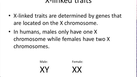 Genetics Identifying Sex Linked Traits Youtube