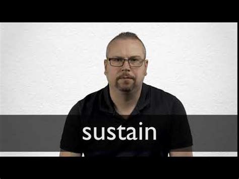 SUSTAIN Synonyms | Collins English Thesaurus