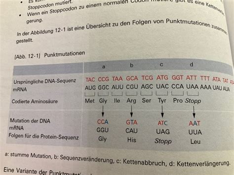 Mechanismen Der Evolution Karteikarten Quizlet