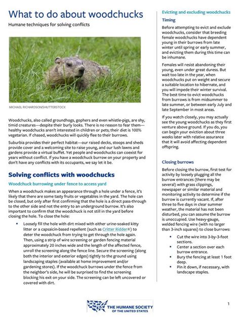 Wildlife Fact Sheets Humanepro By The Humane Society Of The United States