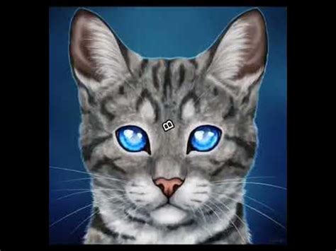 Коты воители Воробей! #рекомендации #котывоители - YouTube