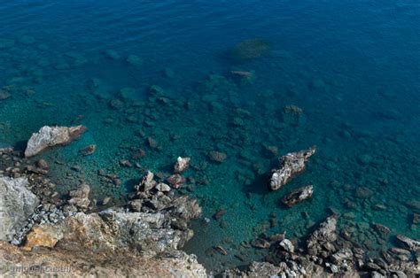 RESERVE NATURELLE MARINE CERBERE BANYULS BANYULS SUR MER