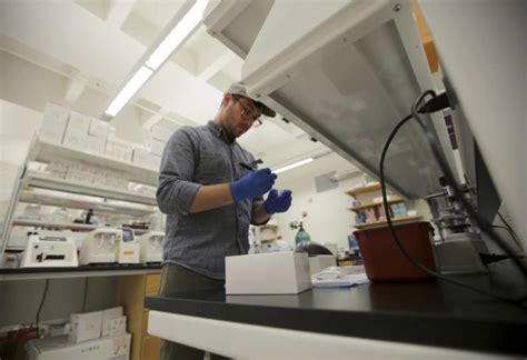 Dna Lab Reduces Testing For Missing People Amid Funding Woes News Emirates24 7