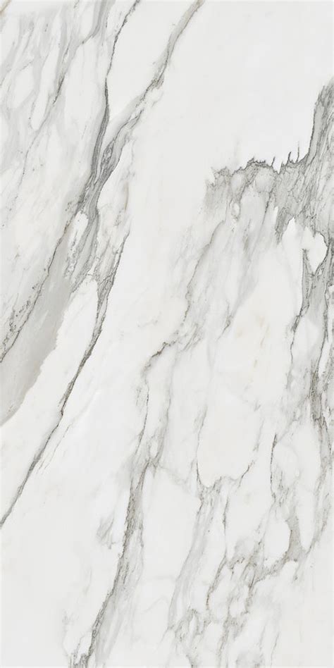 Mito Mito Borghini Rt X Cm Porcelain Stoneware Floor Tile By Paul