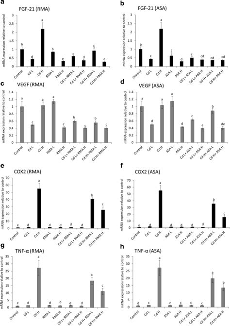 Ameliorative Effects Of Rma And Asa Against Cd Induced Alterations On