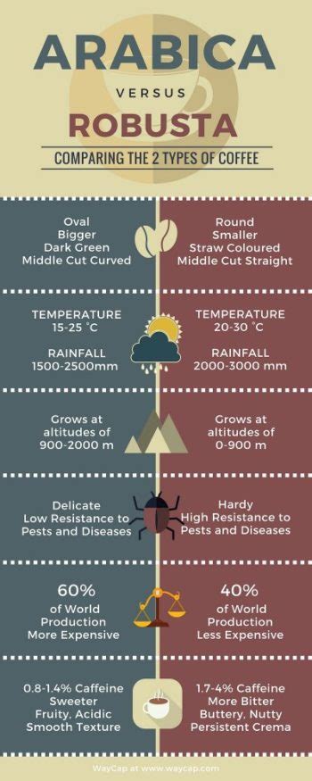 Arabica Vs Robusta Coffee Whats The Difference