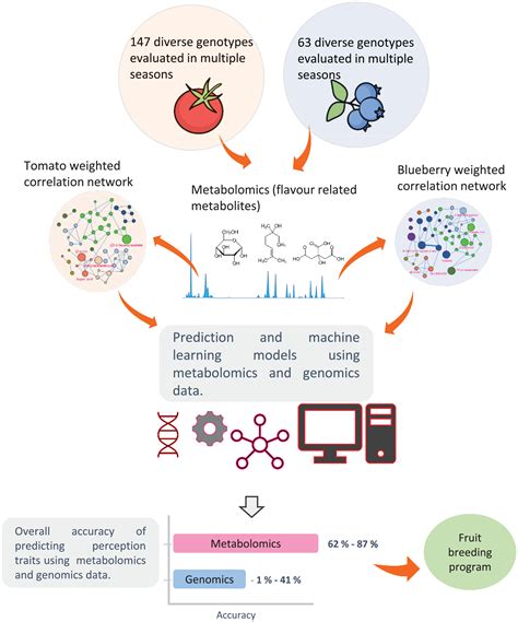 Metabolomic Selection Based Machine Learning Improves Fruit Taste