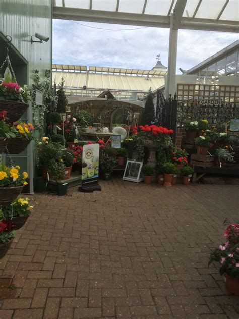 Matlock Garden Centre Blue Diamond Garden Centre Lifestyle