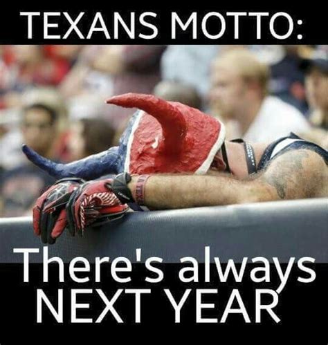 Texans | Texans memes, Houston texans football, Funny sports pictures