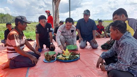 Terapkan Program Csa Produksi Pertanian Petani Di Katingan Kuala