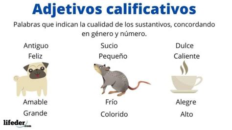 Tipos De Adejtivos Calificativos Resumen F Cil Ejemplos Y