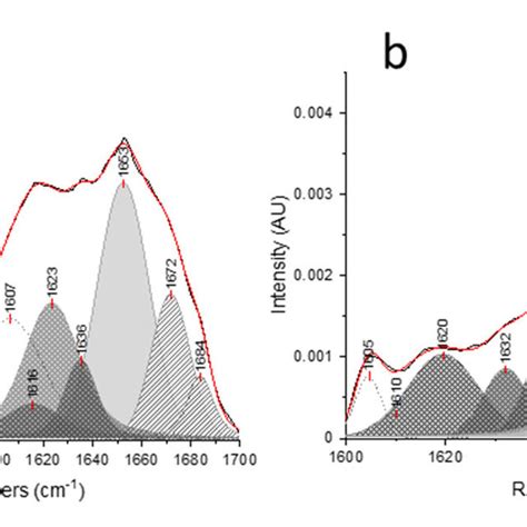 Curve Fitted Amide I And Ii Regions In A Ftir And B Ft Raman Download Scientific Diagram