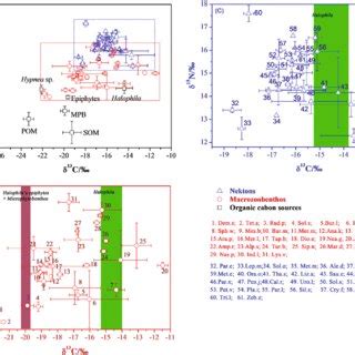 Dual isotopic plots of δ 13 C and δ 15 N for consumers and their