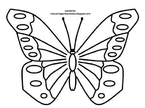 Mewarnai Gambar Mewarnai Gambar Sketsa Hewan Kupu Kupu 4 Images