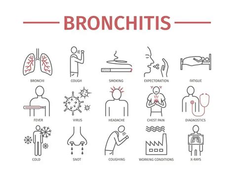 Chest Cold | symptoms, treatments, home remedies, anatomy, infographics