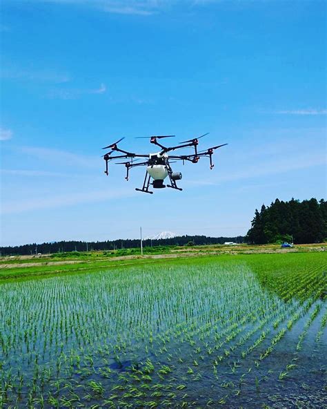 田植え後の除草剤 ドローン散布請け負います