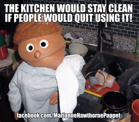 The kitchen would stay clean if people would quit using it! Kitchen ...