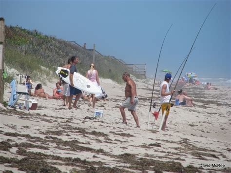 Best Beaches Near Orlando Playalinda Beach Canaveral National